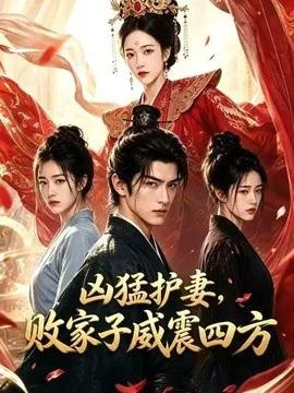 凶猛护妻，败家子威震四方