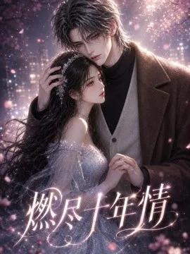 燃尽十年情