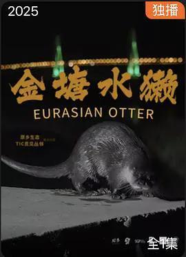 金塘水獭