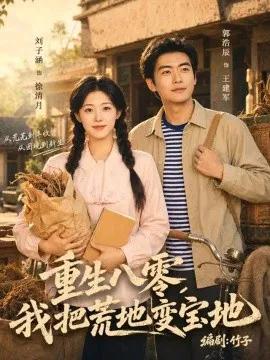重生八零，我把荒地变宝地