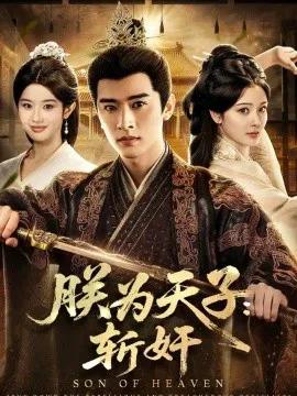 朕为天子：斩奸