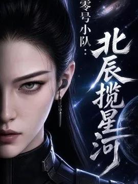 零号小队：北辰揽星河