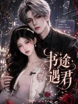 书途遇君
