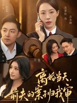 离婚当天,前夫的案子归我审