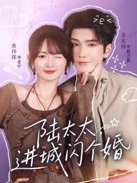 陆太太,进城闪个婚