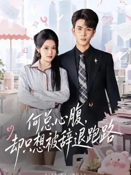 何总心腹,却只想被辞退跑路