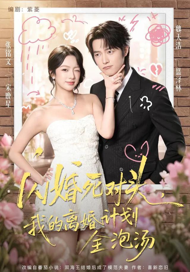 闪婚死对头,我的离婚计划全泡汤