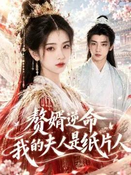 赘婿逆命我的夫人是纸片人