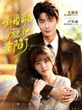 新婚前夜,厉总他沦陷了