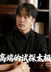 高端的试探太极
