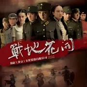 战地花开