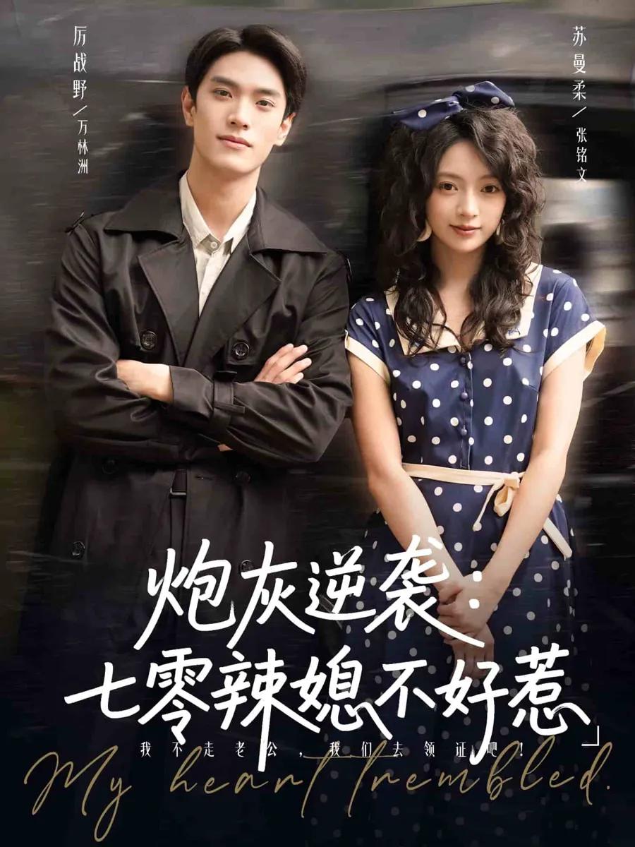 炮灰逆袭七零辣媳不好惹