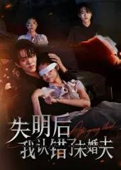 失明后我认错了未婚夫