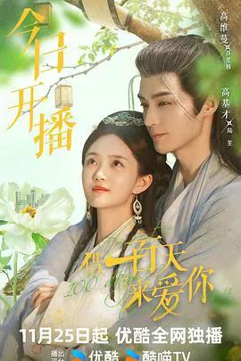 借一百天来爱你