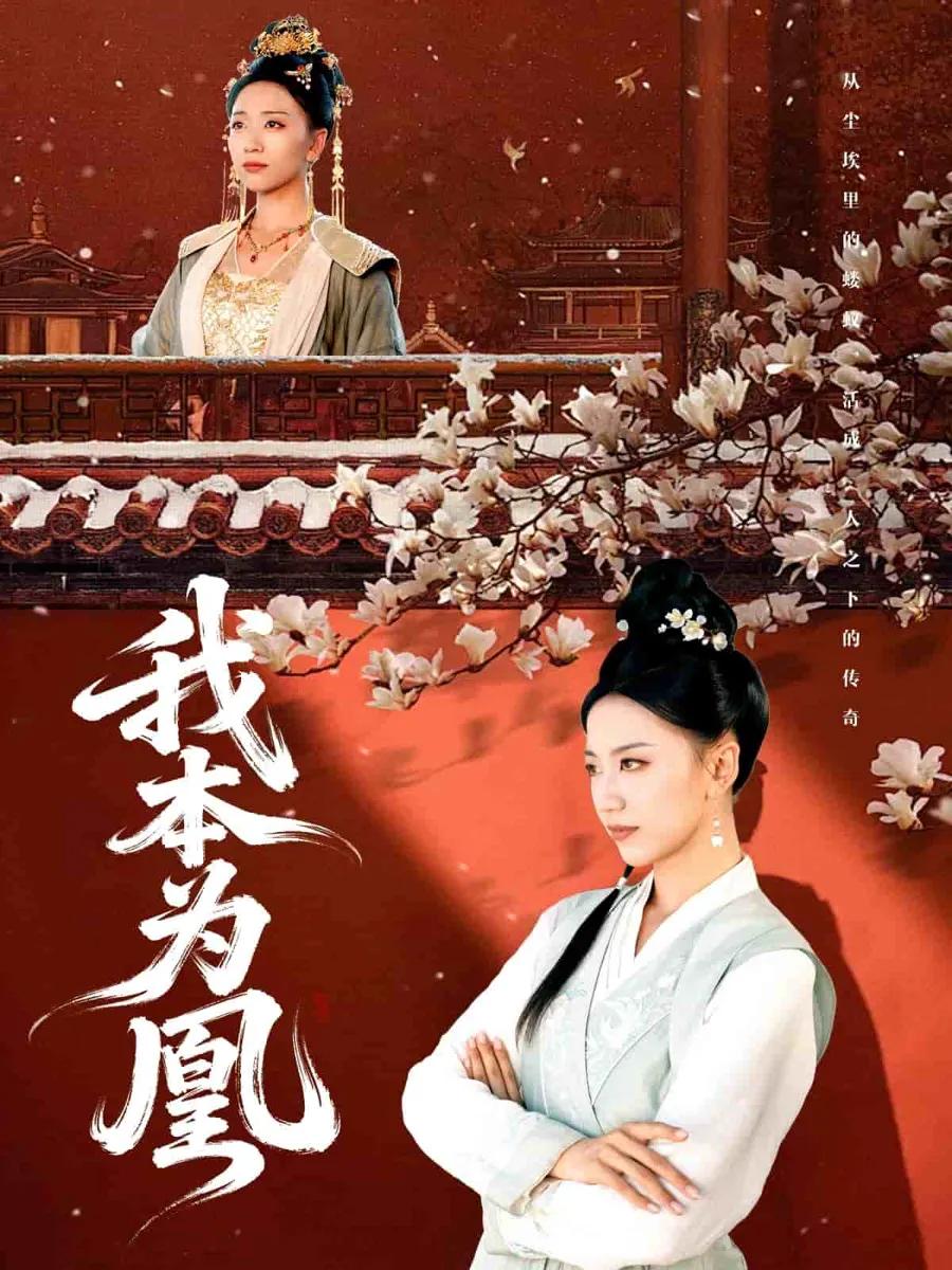 我本为凰