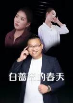 白蔷薇的春天