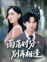雨落时分别再相逢