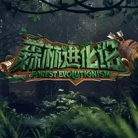 森林进化论