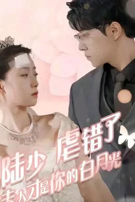 陆少虐错了，夫人才是你的白月光