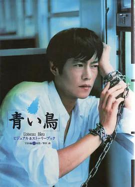 青鸟1997