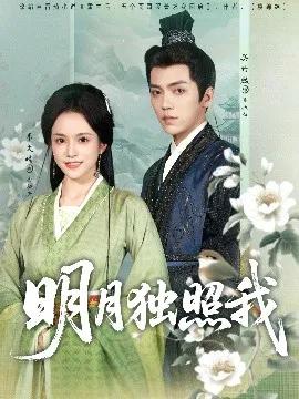 明月独照我