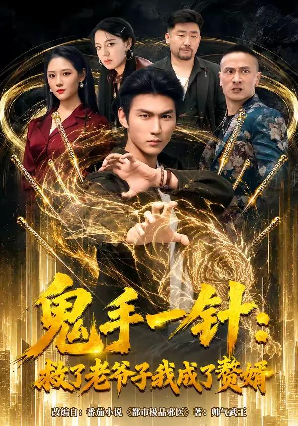 鬼手一针：救了老爷子我成了赘婿