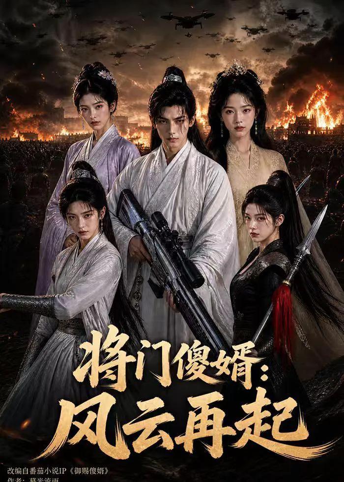 将门傻婿：风云再起