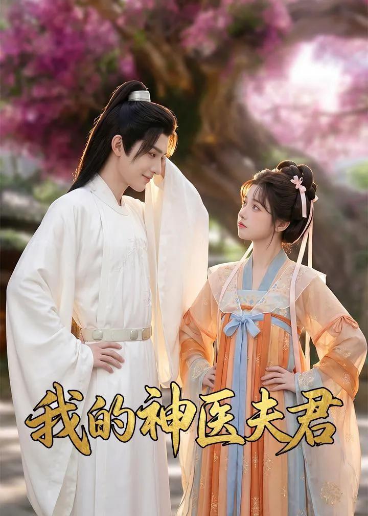 我的神医夫君