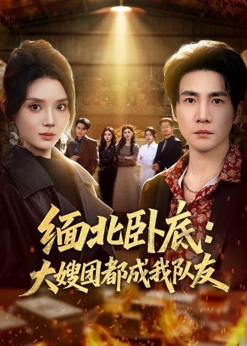 缅北卧底：大嫂团都成我队友