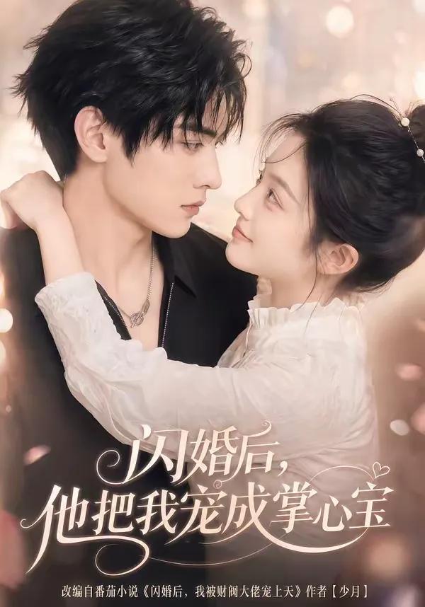 闪婚后，他把我宠成掌心宝