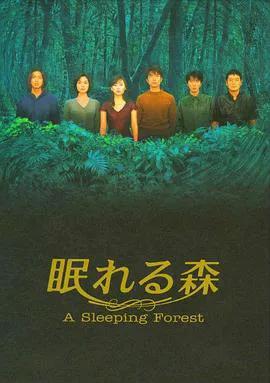 沉睡的森林1998