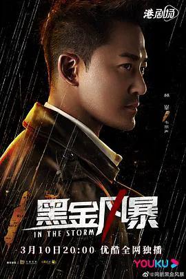 黑金风暴国语