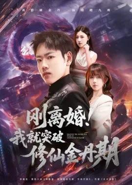 刚离婚！我就突破修仙金丹期