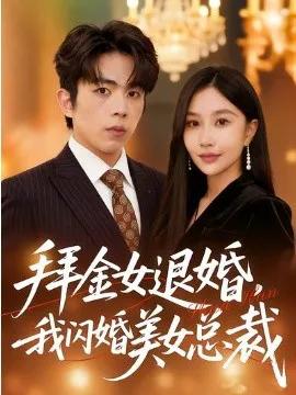 拜金女退婚，我闪婚美女总裁