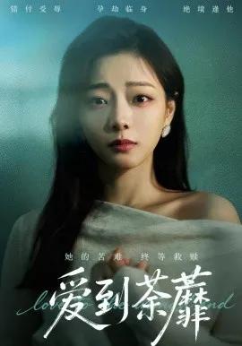 爱到荼蘼