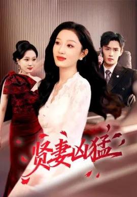 贤妻凶猛