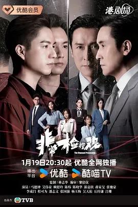 非常检控观国语版