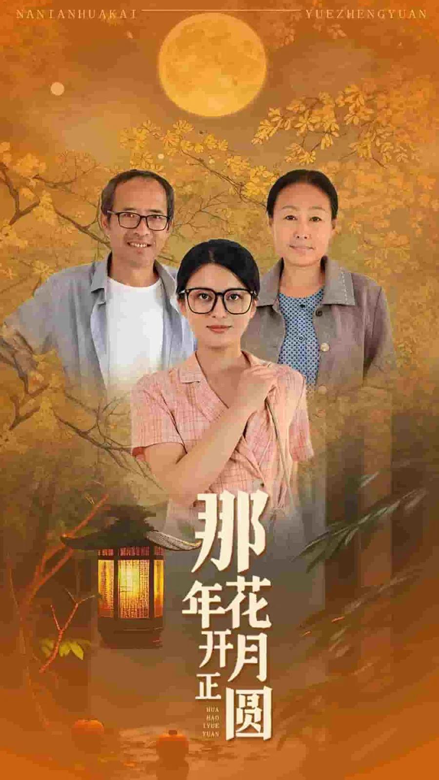 那年花开月正圆 短剧版