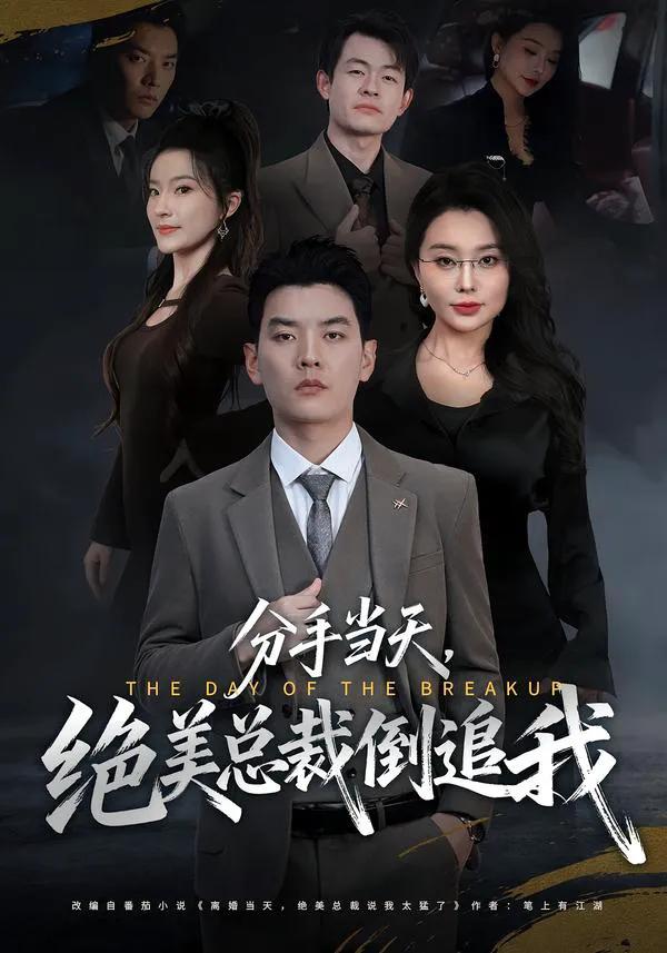 分手当天，绝美总裁倒追我