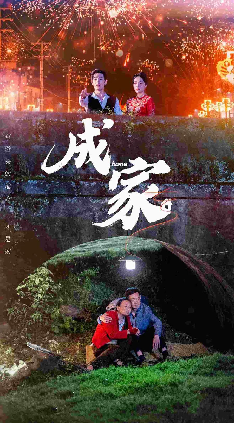成家 短剧版