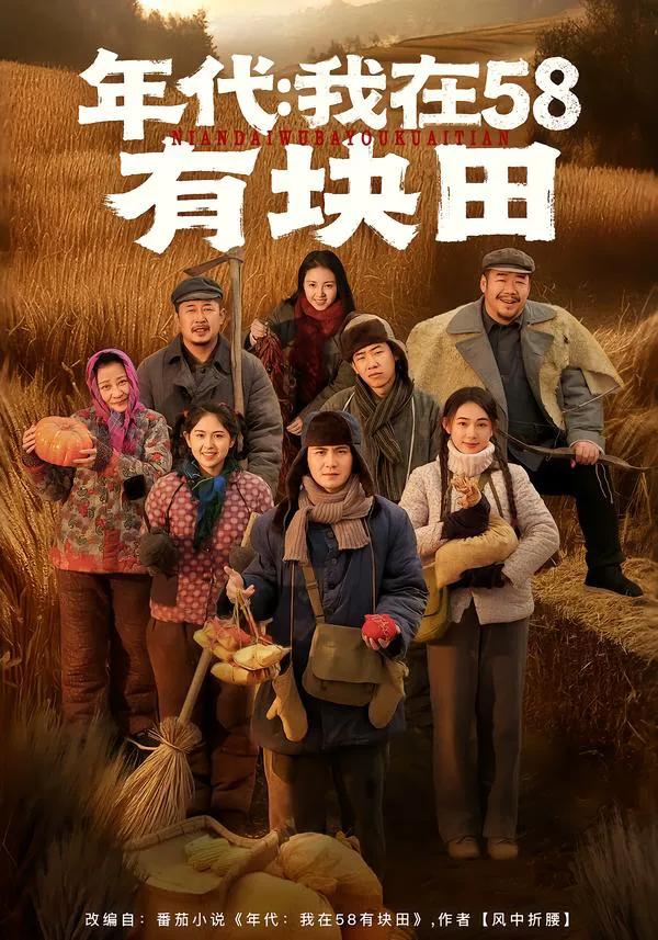 年代我在58有块田