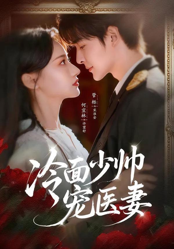 冷面少帅宠医妻