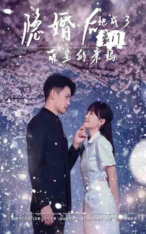 隐婚后,她成了豪门萌宝的亲妈