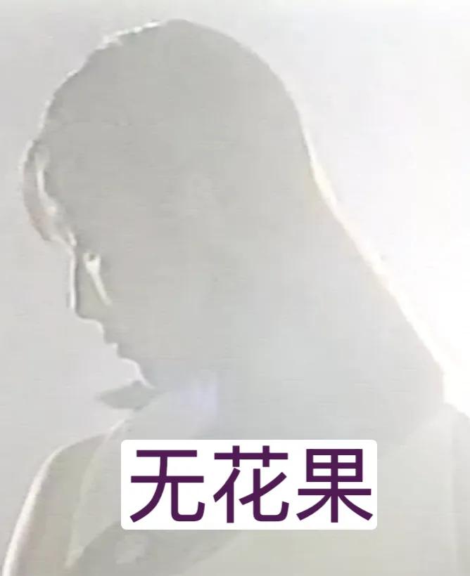 无花果（1996）