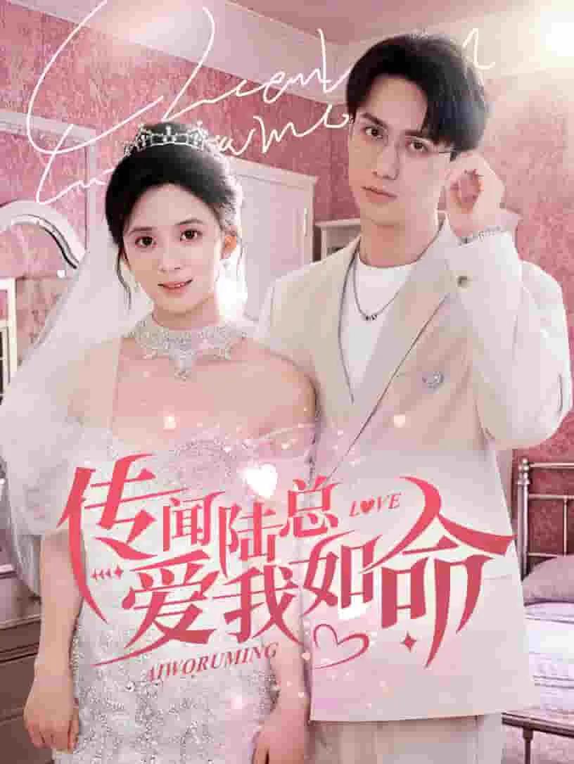 传闻陆总爱我如命