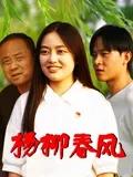 杨柳春风
