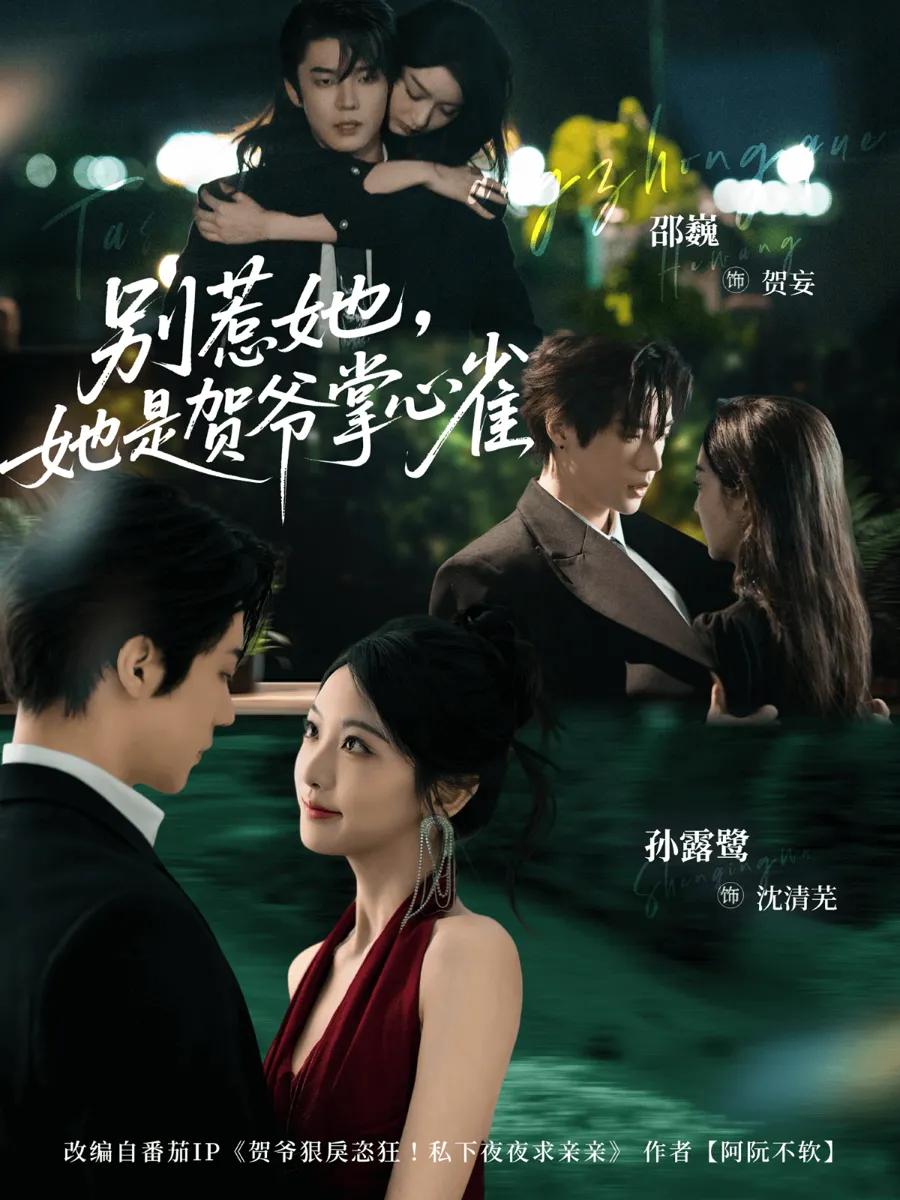 别惹她，她是贺爷掌心雀