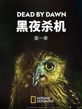 黑夜杀机第一季