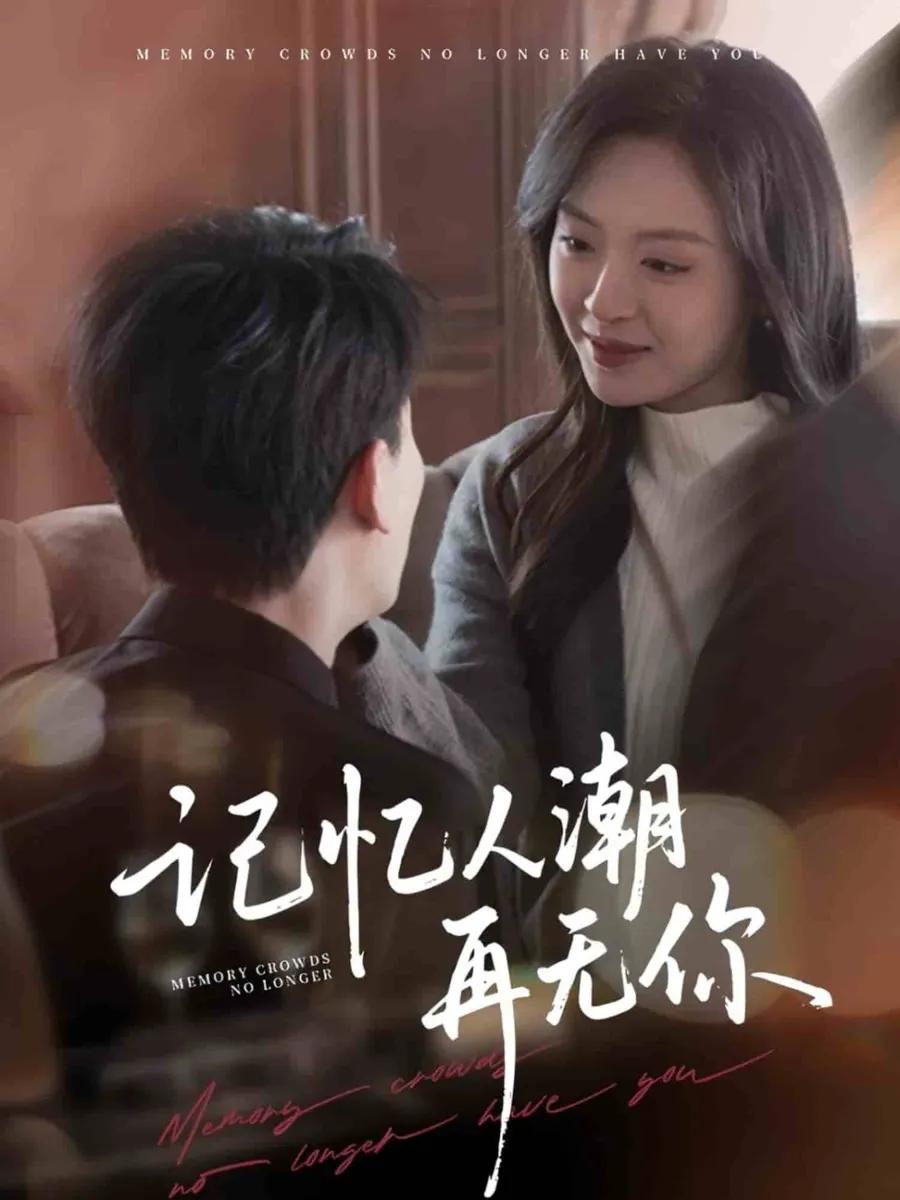 记忆人潮再无你