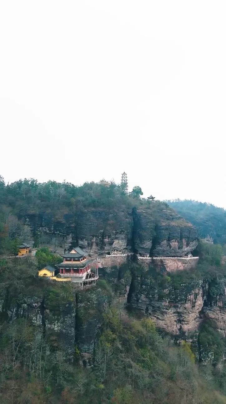 功夫萌宝神算爹